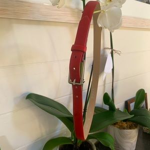 Brax red belt